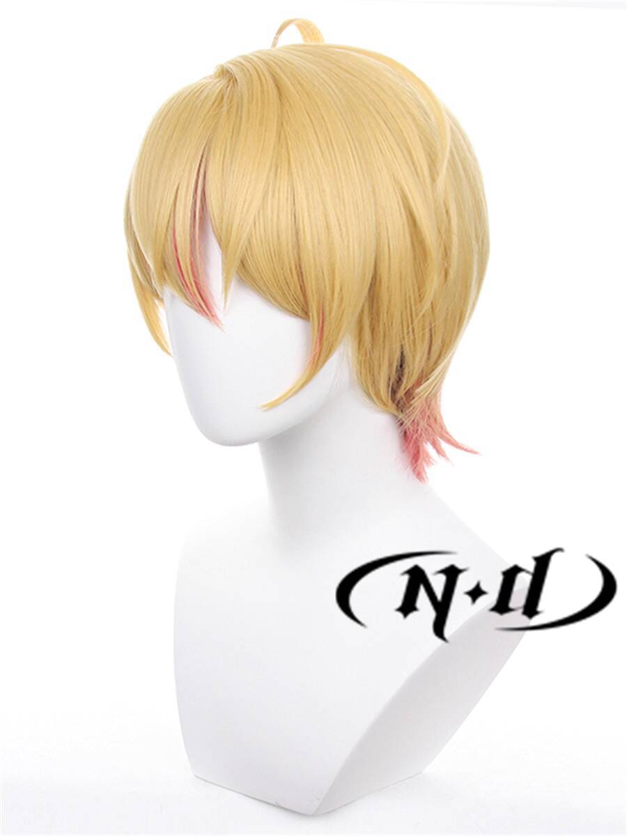 Hoshino Aikou Aikai Akuha My R - Anime Cosplay Recommendations 리뷰 및 가격