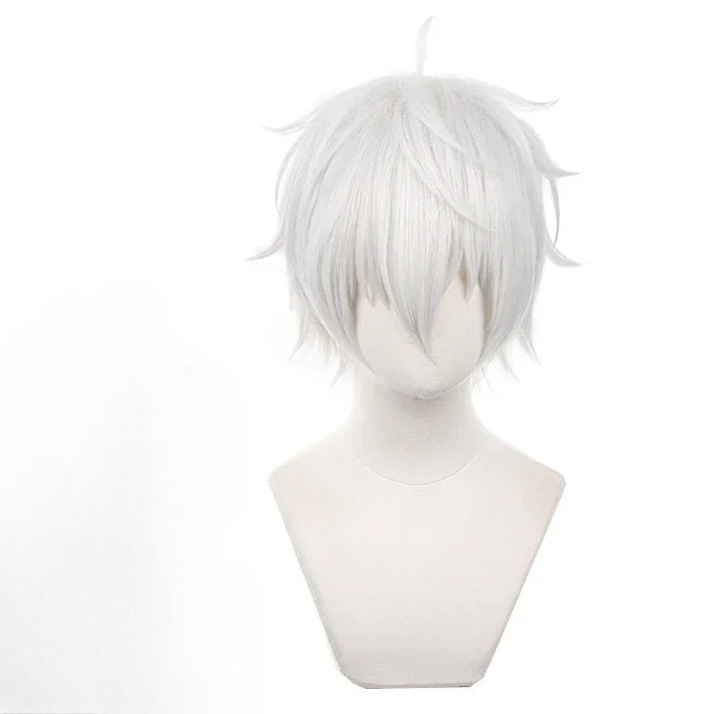 Anime Seishiro Nagi Cosplay Wi - Cosplay Anime White Hair 리뷰 및 가격