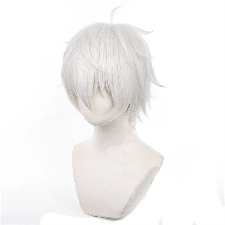 Anime Seishiro Nagi Cosplay Wi - Cosplay Anime White Hair 리뷰 및 가격