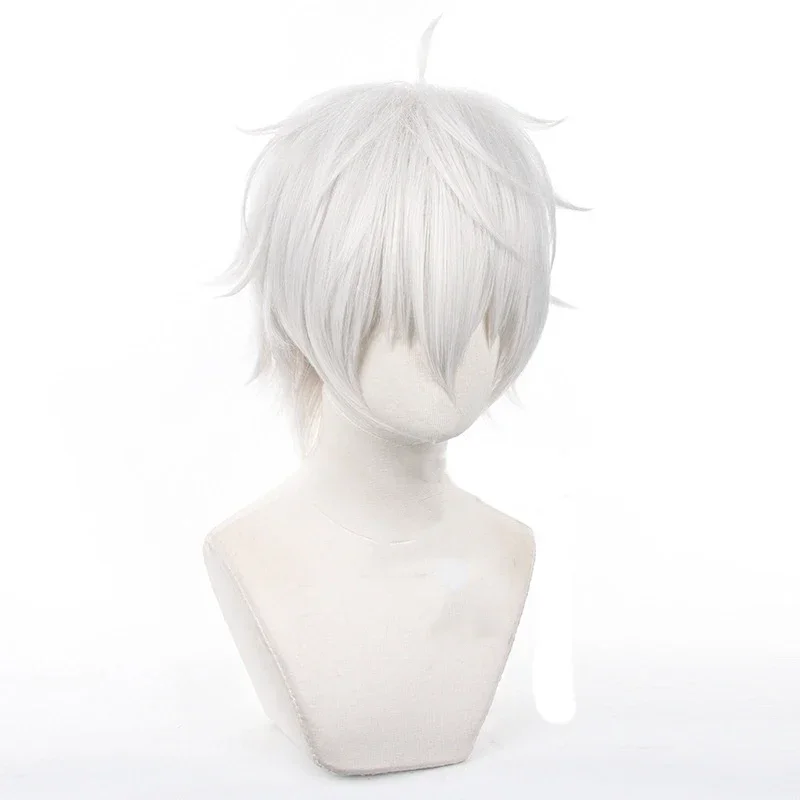 Anime Seishiro Nagi Cosplay Wi - Cosplay Anime White Hair 리뷰 및 가격