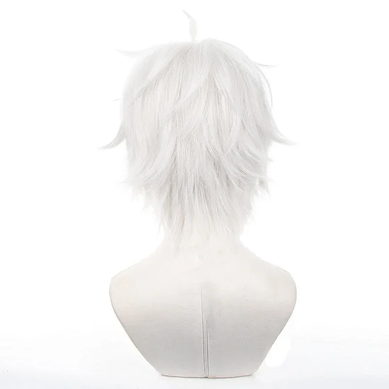 Anime Seishiro Nagi Cosplay Wi - Cosplay Anime White Hair 리뷰 및 가격